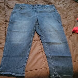 Liverpool Jeans Company Medium Blue Cropped Jeans